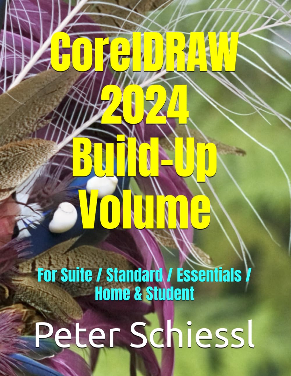 CorelDRAW 2024 – Build-Up Volume of the Training Books for CorelDRAW 2024 and Corel Photo-Paint 2024: Also Useable for Essentials and Home and Student Versions